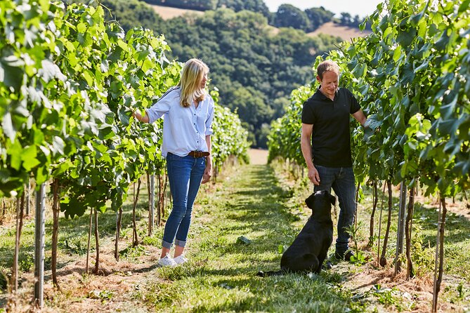 1.5-Hour Swanaford Vineyard Tour And Tasting Experience - Swanaford Vineyard, 10,000 Vines On Dartmoor