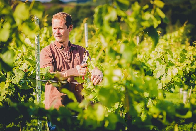 1.5-Hour Swanaford Vineyard Tour And Tasting Experience - Dartmoor Wine Making, What Makes It Hard Here