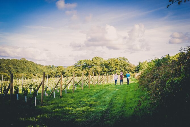 1.5-Hour Swanaford Vineyard Tour And Tasting Experience - Tasting at the Barn, How to Get the Most From It