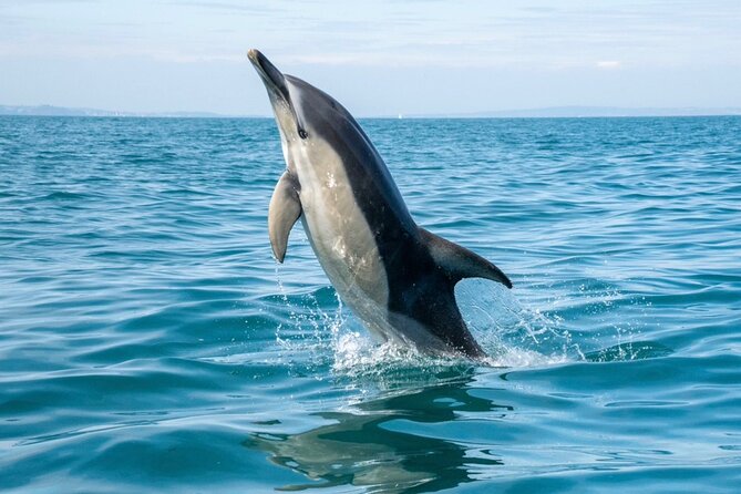90 Minute Coastal Explorer in Torquay - Boarding at Torquay Marina: what the start feels like