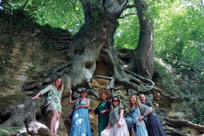 A Tour of Glastonbury, Guided by the Trees. - How the lanes, fields, and views turn into a guided route