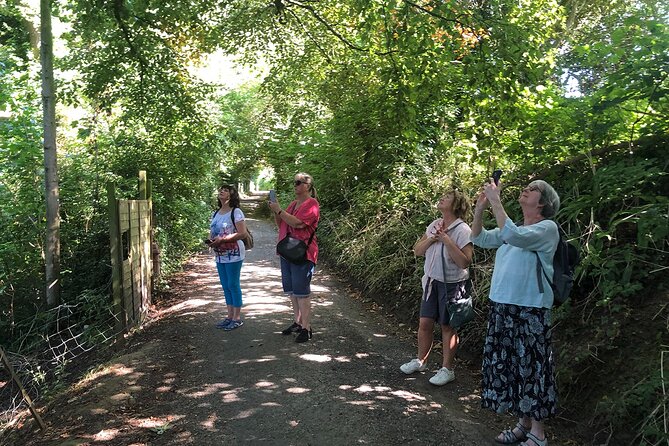 A Tour of Glastonbury, Guided by the Trees. - Price, value, and how this compares to typical Glastonbury tours