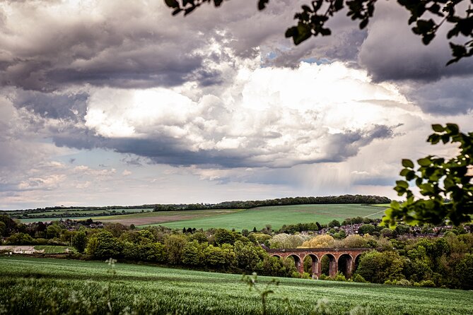 Admission Pass to Eagle Heights in Kent - Twice-daily raptor flying displays: how to time your visit