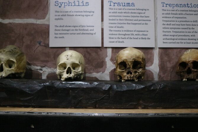 Admission Ticket to Sick To Death in Chester - From plague playground to Victorian medicine themes