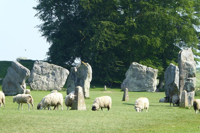 Ancient Britain Tour - Private Day Trip from Bath - How a private prehistoric day works from Bath