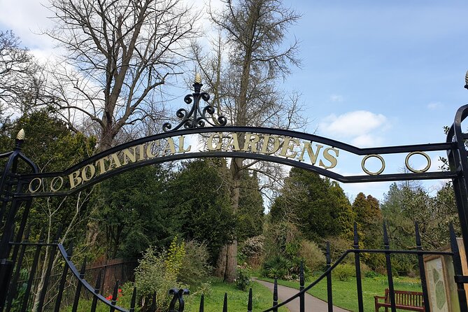 Bath - (4 hours) Extended Walking Tour - Blue Badge guide - Great Pulteney Street and the Pulteney Estate area: architecture plus a place to wander