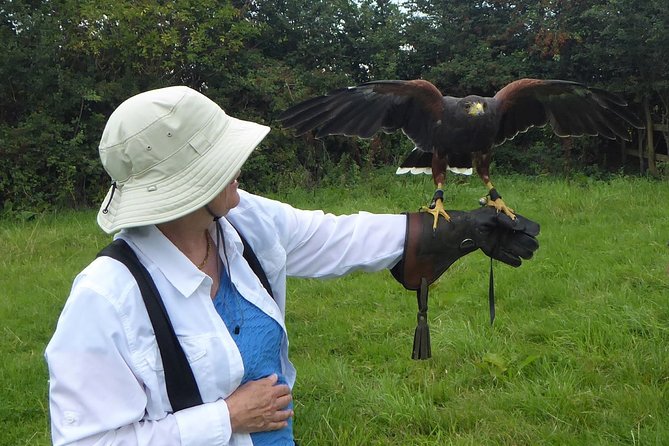 Bath City Tour & Fly a Hawk Experience - Day Tour from Bath - A one-day combo that actually makes Bath feel graspable