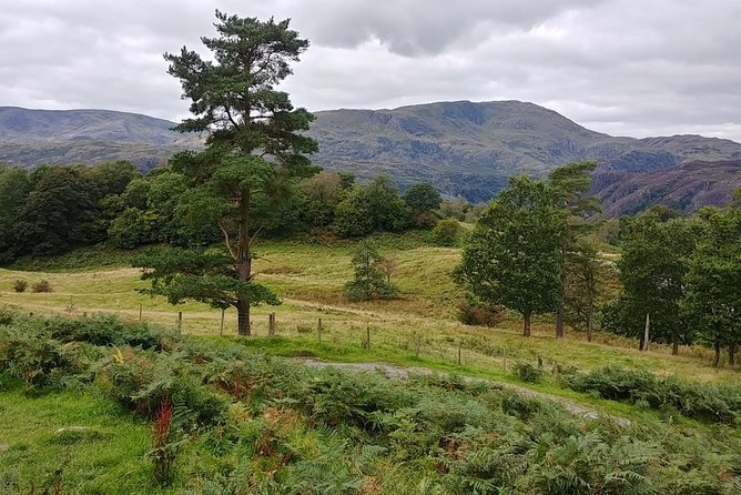 Beatrix Potter: Morning Half Day with an Expert Guide - includes entrance fees - What to Bring for Lake District Weather and Uneven Paths