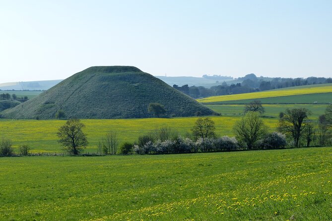 Bespoke private tours of Stonehenge and Avebury by car with local guide - Salisbury Museum and Stonehenge: how to build a full day