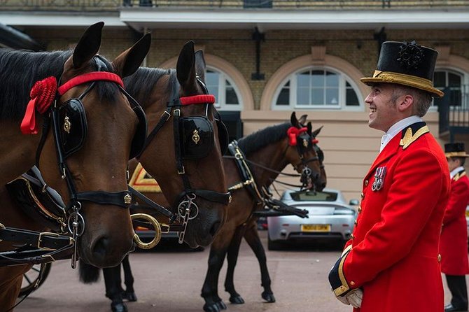 Buckingham Palace: Admission ticket to The Royal Mews - The 45-minute flow: from the yard to the state coach lineup