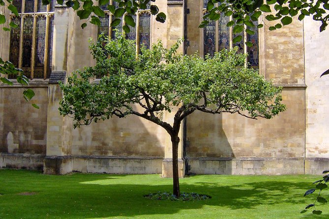 Cambridge University Walking Tour - More colleges on the schedule: Christ’s, Emmanuel, and Sidney Sussex