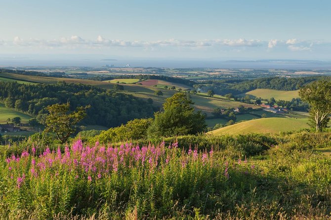 Canterbury & the White Cliffs of Dover Tour (Small-Group) - Why the guide can make or break the day