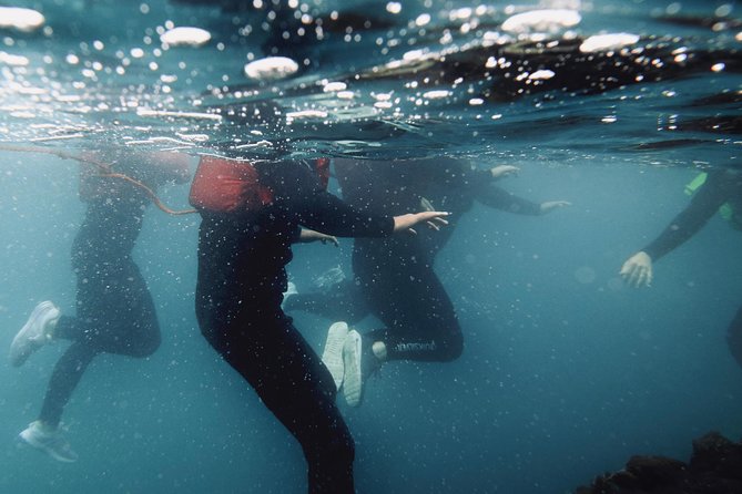 Coasteering - Quick hits before you book