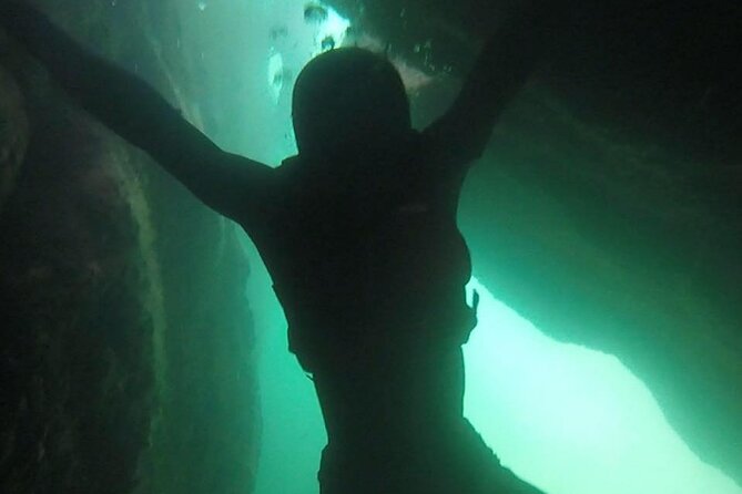 Coasteering Geopark Adventure In Torquay - Seals, wildlife, and that endorphin payoff