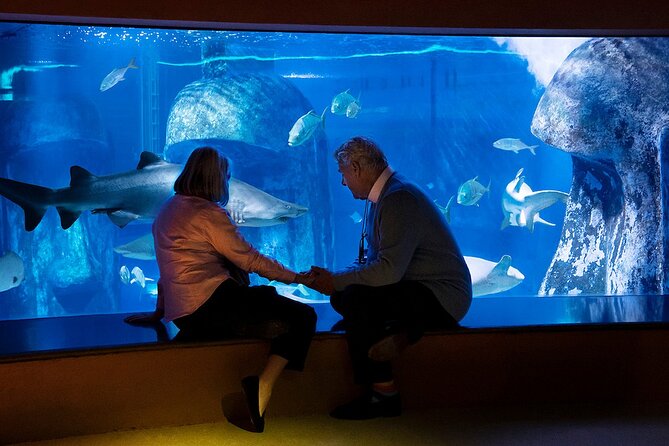 Combo Ticket: Madame Tussauds & SEA LIFE London Aquarium - Combo Ticket Value: Is $80.13 Worth It?