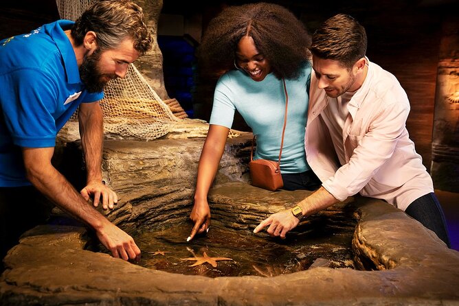 Combo Ticket: Madame Tussauds & SEA LIFE London Aquarium - Should You Book This Combo Ticket?