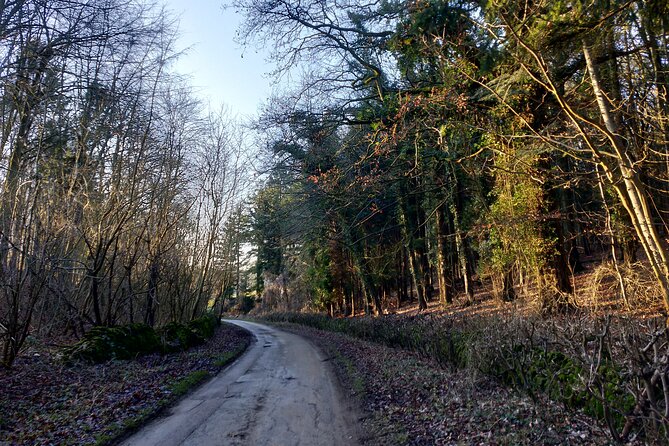 Cotswolds One Day Guided Cycle Tour - Private Groups - Swinbrook and the Last Scenic Breather