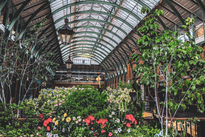 Covent Garden’s Hidden Gems: A Self-Guided Walking Tour - Neal’s Yard: where the walk becomes a hunt for tiny details