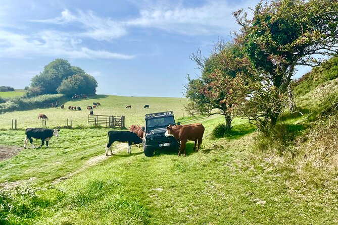 CRUISE SHIP SPECIAL- JEEP SAFARI - PRIVATE GUIDED TOUR (6 Hours) - Tyneham’s abandoned streets, WW2 D-Day prep, and the 700-year-old church