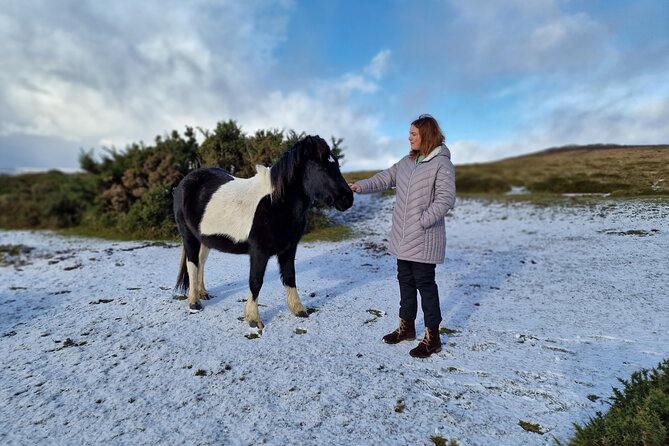 Dartmoor Tour - Key things I’d plan around