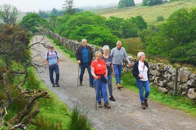 Dartmoor Tour - Why this Dartmoor day tour feels easier than driving yourself