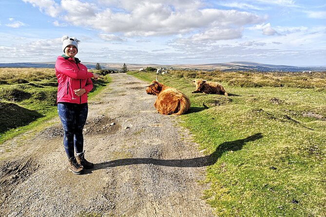 Dartmoor Tour - Haytor Vale and the 360 degree view finale