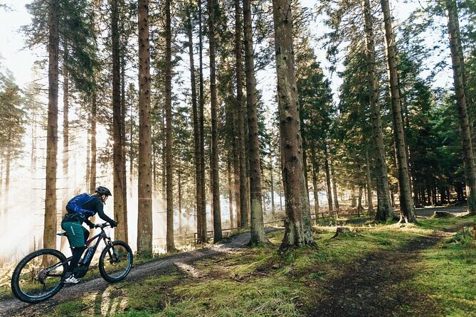 E-bike excursion exploring the Purbecks - Key highlights worth your attention