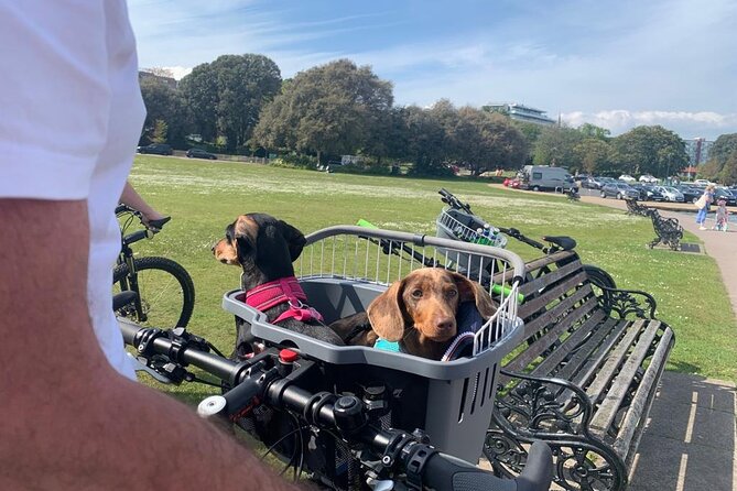 E-bike excursion exploring the Purbecks - Optional picnic or pub lunch, and how to plan it
