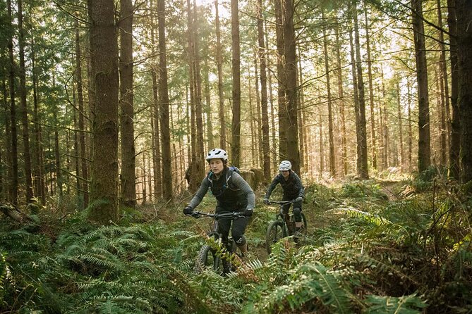 E-bike excursion exploring the Purbecks - Where cars can’t go, and why that matters