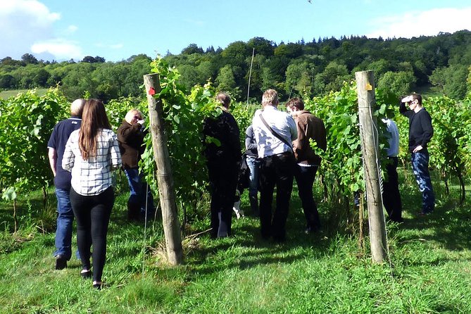 English Wine and Cheese Tour from London - Silcocks Farm Shop and Cafe: organic cheese making and 6 and 6 pairing