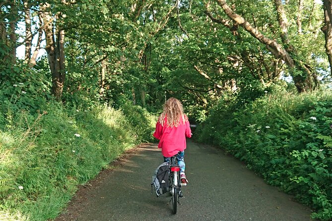 Explore North Cornwall on Electric Bikes - Practical tips for a smooth ride in North Cornwall