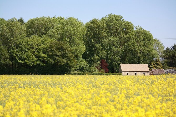 Explore the Cotswolds (Private Day Tour from London) - Woodstock and Winston Churchill’s churchyard visit
