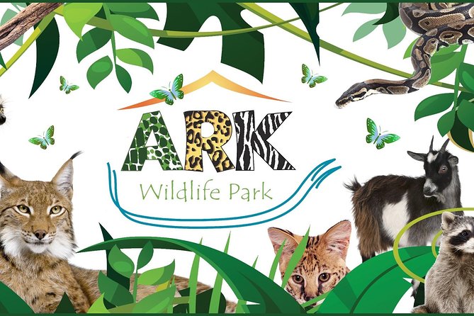 Fox Encounter for 2 people and park entry - The 30-minute flow, from arrival to keeper Q and A