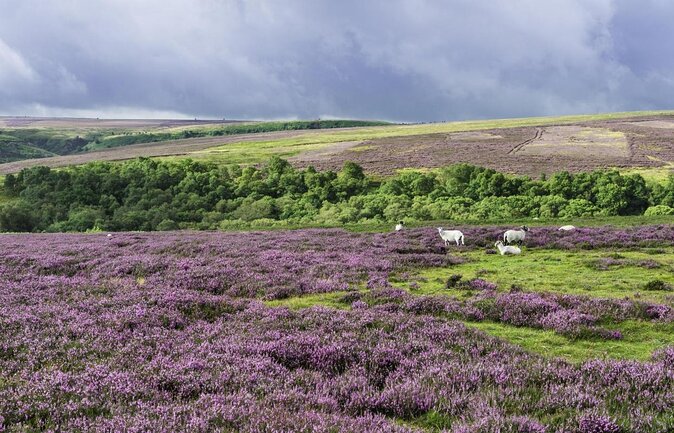 Full-Day Heartbeat Locations Tour from York - Key highlights worth packing for