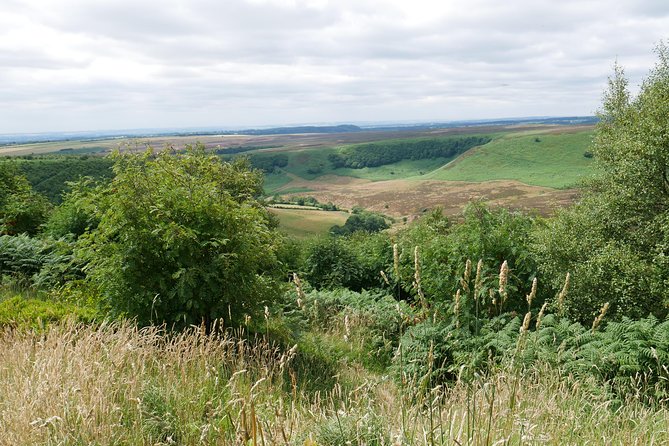 Full-Day Heartbeat Locations Tour from York - Reliability and pacing: what to watch for before you book