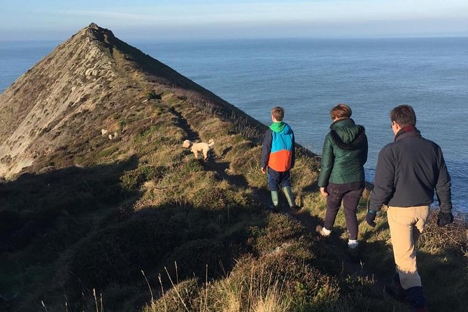 Guided walk on the remote and wild North Cornish coast - Hawker’s Hut: a driftwood stop you will remember