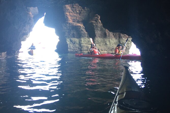 Guided Wildlife and Sea Cave Kayak Safari in English Riviera - What the Guide (Kieran) Brings to the Trip