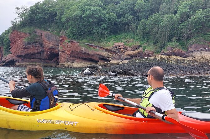 Guided Wildlife and Sea Cave Kayak Safari in English Riviera - Tandem Sea Kayaks, Training, and Gear You Should Plan Around