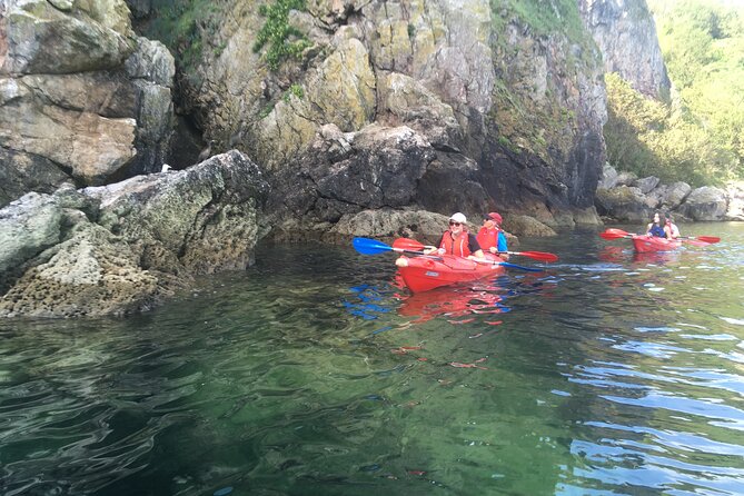 Guided Wildlife and Sea Cave Kayak Safari in English Riviera - Getting There, Group Size, and Timing That Actually Works