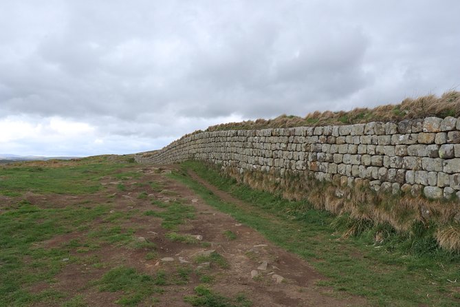 Hadrian's Wall Day Tour - A guided walk of the Roman Frontier - Price and value for an 8-hour guided frontier day