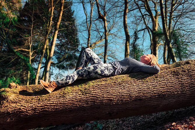 Half-day Forest Bathing and Yoga in Brighton's Woodlands - Key highlights to look for