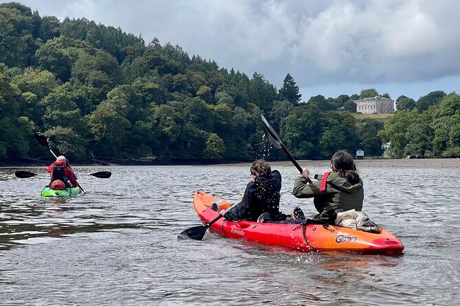 Half Day Guided Canoe Trip in Totnes - What’s included, and why that value is more than the sticker price
