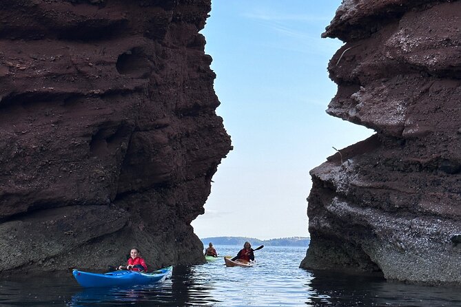 Half Day Sea kayak Guided Tour - Stop 1, Stop 2, and why the timing feels right