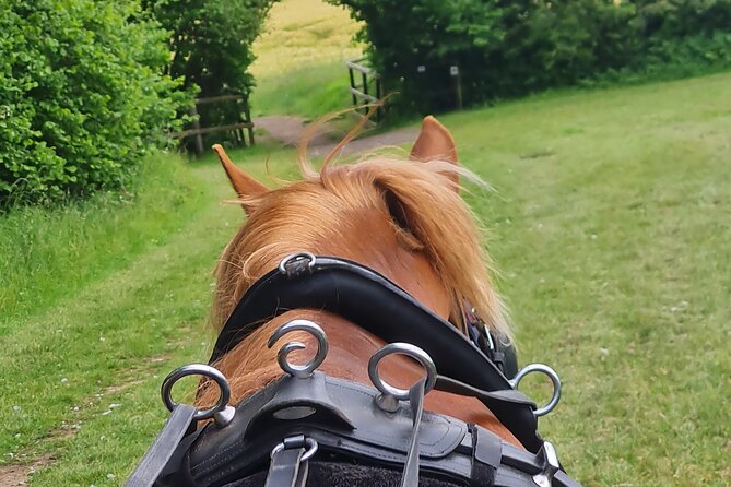 Horse drawn carriage ride york - Where This Horse-Drawn Carriage Ride Fits In (Yorkshire, Selby, and Real Country Quiet)