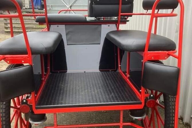 Horse drawn carriage ride york - Open-Top or Enclosed: How Weather Changes Your Comfort