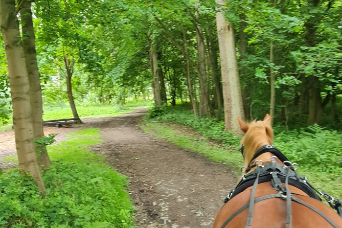 Horse drawn carriage ride york - What If the Day Changes? The Real-World Risk With Horses