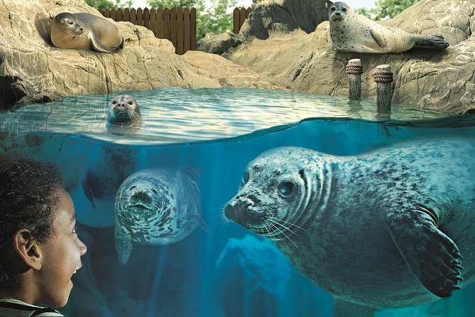 Hunstanton SEA LIFE Sanctuary General Admission Ticket - Tickets, timing, and whether it feels worth $21.92