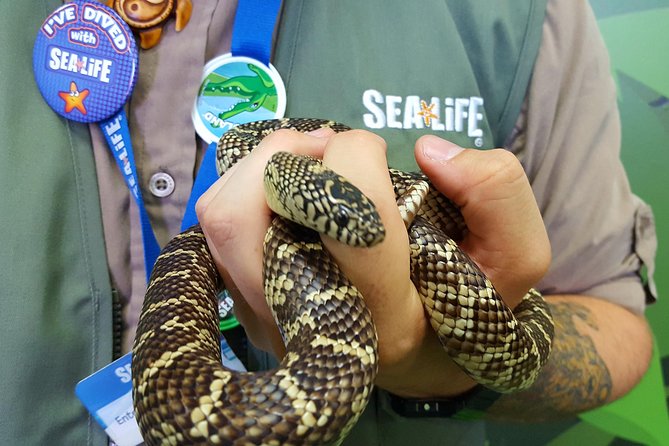 Hunstanton SEA LIFE Sanctuary General Admission Ticket - Seal Hospital and Rescue Centre, plus underwater views and feeding talks