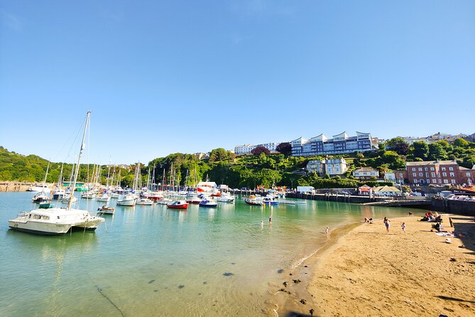 Ilfracombe Seafront History Walking Guided Tour - Who should book this Ilfracombe seafront history tour