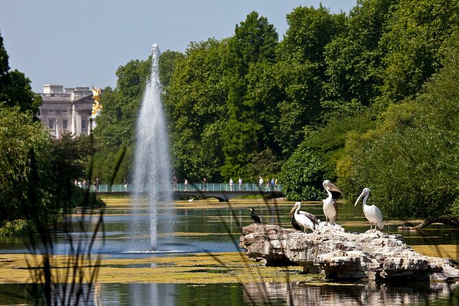 Inside Buckingham Palace State Rooms & Royal London Walking Tour - Price and logistics: what you pay for, and why it can be worth it